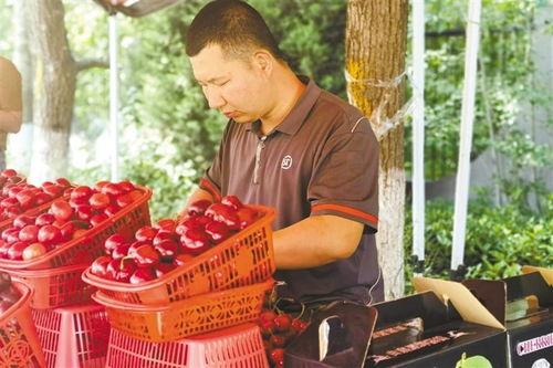 快递进村，特产出村 农产品流通新格局的实践与展望