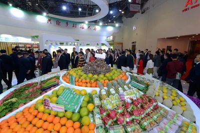 致敬七十华诞，第十七届农交会圆满交卷 谱写农业新篇章，献礼时代新征程