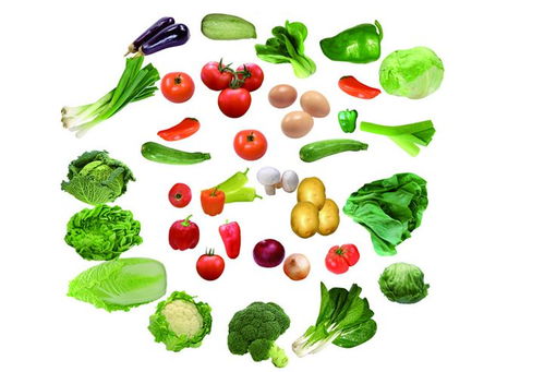 东莞市方格绿农产品配送服务动态 守护餐桌新鲜，助力健康生活