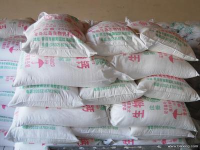 青岛海洋生物钙 天然营养的海洋馈赠